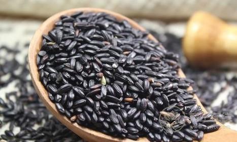 18美食治初秋心煩失眠