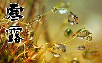 秋寒露重 寒露養生保陰氣