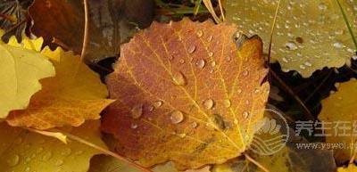 秋分談養生 如何度過“多事之秋”