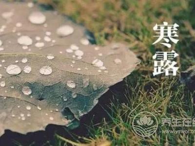 寒露的來歷是什么?寒露節氣如何養生?