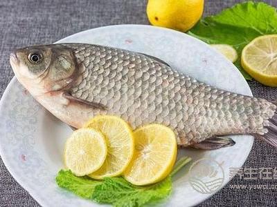 寒露節氣吃什么?寒露節氣潤燥食譜是什么?