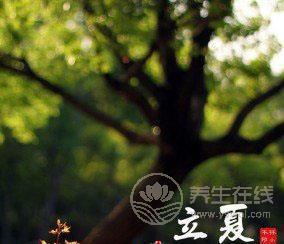 立夏有哪些習俗 立夏吃了蛋熱天不疰夏-易網<a href=http://m.henggaotouzi.com/ target=_blank class=infotextkey>健康養生</a>網 立夏有哪些習俗 立夏吃了蛋熱天不疰夏