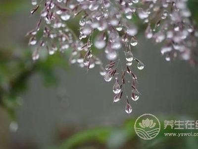春季養生喝什么湯 花旗參烏雞湯補血