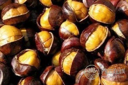 霜降養生吃板栗好嗎?霜降吃板栗的功效是什么?-易網健康養生網 霜降養生吃板栗好嗎?霜降吃板栗的功效是什么?