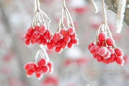 霜降要預防哪些疾病?霜降預防皮膚疾病方法是什么?