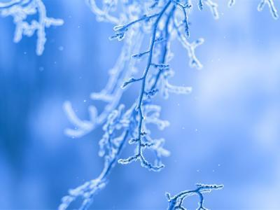 12月應(yīng)季的水果蔬菜有哪些？12月養(yǎng)生你要知道這些