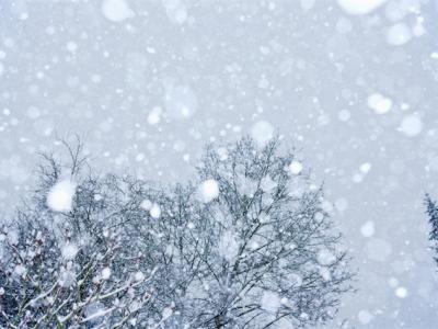 三九天吃什么可以養生？三九天養生好處竟然這么大