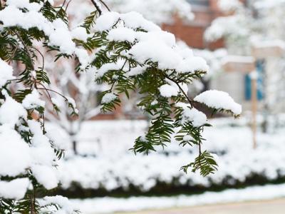 寒潮來襲該怎么保暖身體？教你幾個妙招祛寒暖身