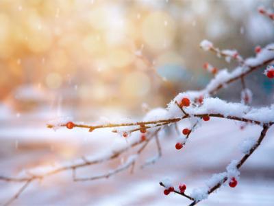 一到冬天皮膚就癢癢的，該如何應(yīng)對(duì)呢？