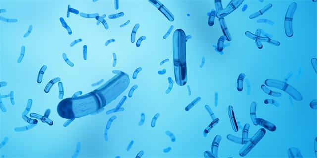 春季怎么消滅螨蟲？這些方法都很有用