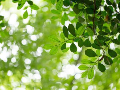 春季怎么消滅螨蟲？這些方法都很有用