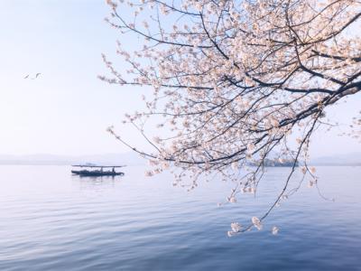 春天應該怎么補身體？春天補身體這些食物可以多吃