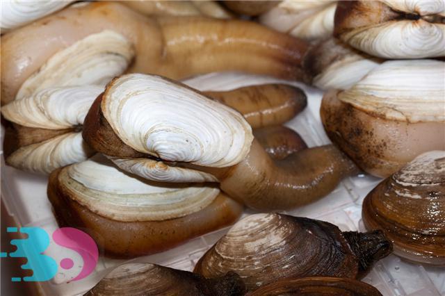 春天適合吃哪些海鮮?春天吃海鮮要注意什么?-易網(wǎng)健康養(yǎng)生網(wǎng) 春天適合吃哪些海鮮?春天吃海鮮要注意什么?