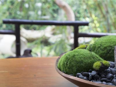 春天吃哪些水果好？春季養生要吃水果