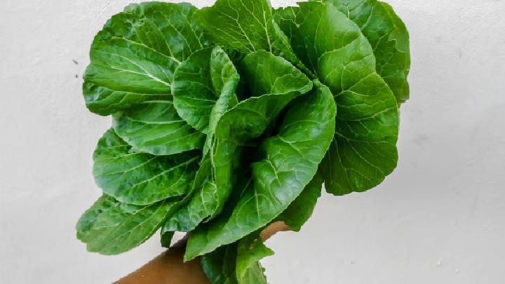 哪些水果具有降火的功能 7種水果能有效幫助人們下火