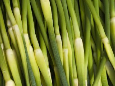 您是不是在為長黃褐斑而煩惱 推薦健康菜譜消滅黃褐斑