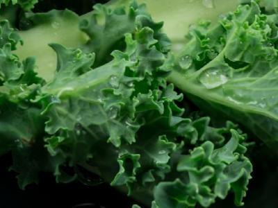 冬天養(yǎng)胃吃什么好 推薦三款適合冬季養(yǎng)胃的食療方