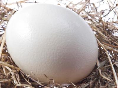 吃稀飯真的可以養胃嗎 養成六大好習慣更養胃