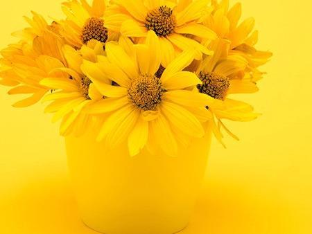 秋冬養生小常識，這里面群都概括了，你都做了哪些