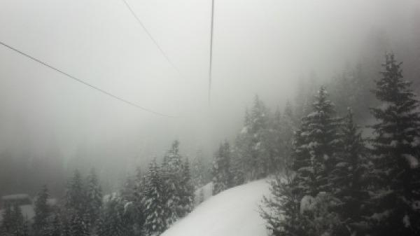 立冬養(yǎng)生習(xí)俗 補(bǔ)冬吃餃子