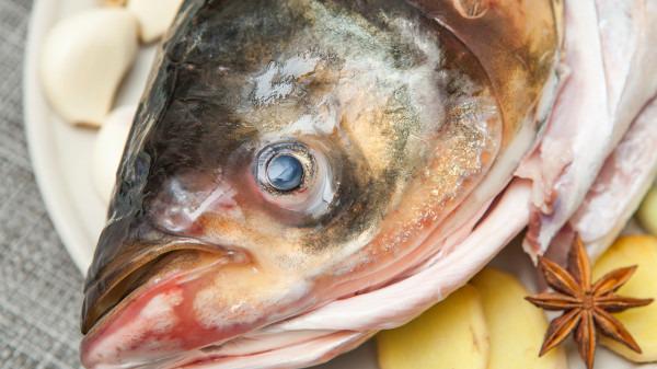 冬季多吃魚，吃魚的4好處