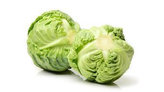 冬季吃什么豐胸？雞肉卷心菜豆制品