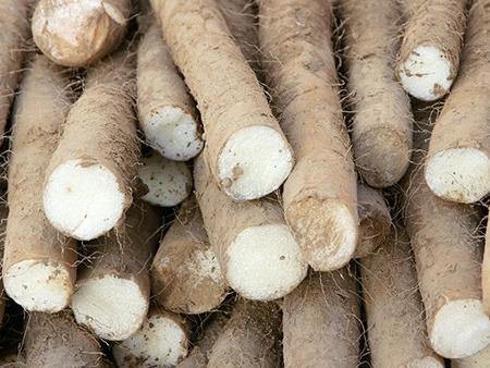 如何預防秋季上火？4種食物來敗火