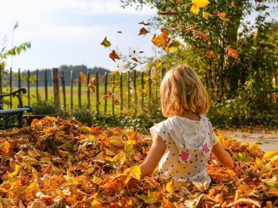 三秋養(yǎng)生 各有側重