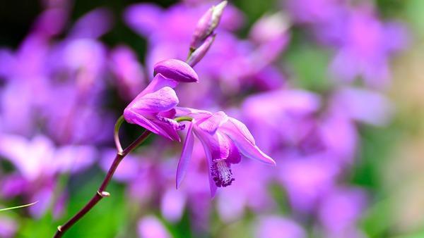 今日白露  秋天要來了