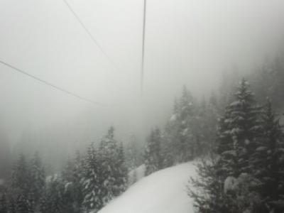 立冬養生習俗 補冬吃餃子