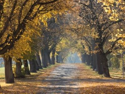 早睡早起，深秋養生指南來了