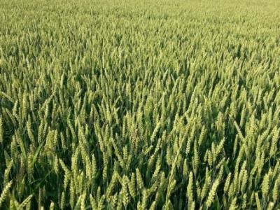 夏季要避免寒邪侵害 夏季易受寒涼