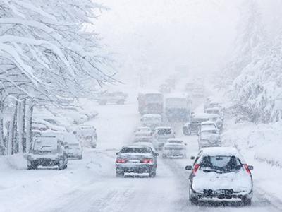 大雪駕到，養生吃這些