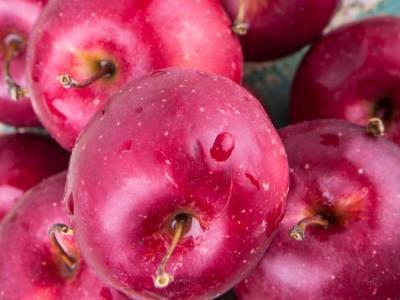 初冬養(yǎng)生 適合吃什么水果