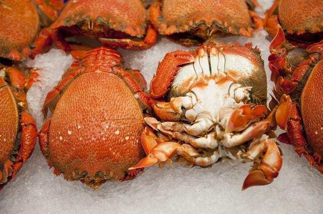 螃蟹死了能吃嗎?螃蟹死后吃了會怎么樣?-易網(wǎng)健康養(yǎng)生網(wǎng) 螃蟹死了能吃嗎?螃蟹死后吃了會怎么樣?