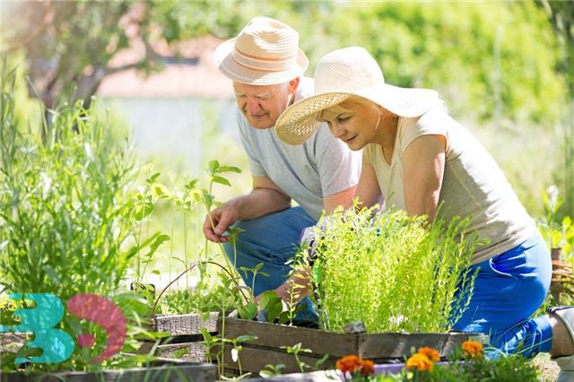 冬季養肺正當時，適合老年人潤肺止咳的食物推薦