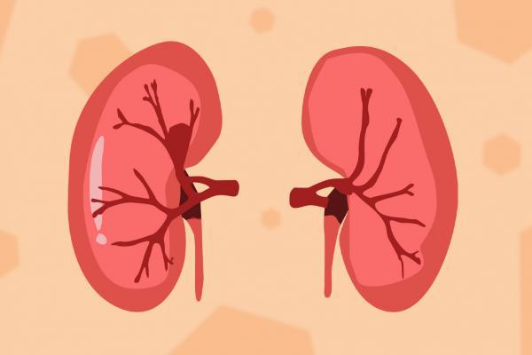 冬季怎么養(yǎng)腎補腎