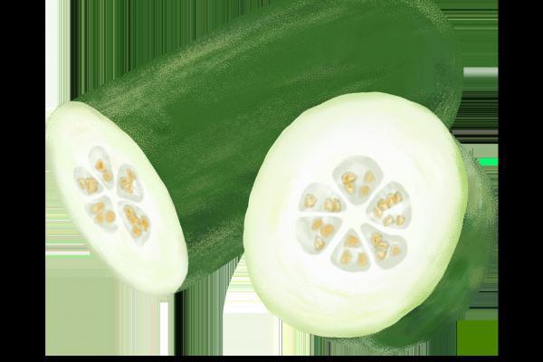 三伏天是幾月幾號