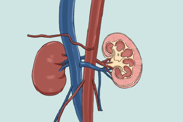 冬季怎么養(yǎng)腎補腎