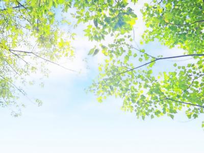 什么時候三伏天