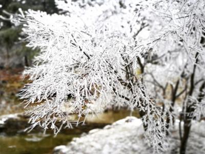 小雪的節(jié)氣特點(diǎn)