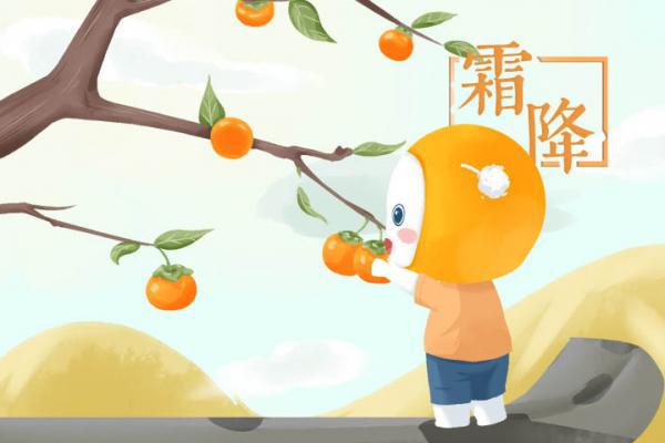 霜降要吃柿子嗎