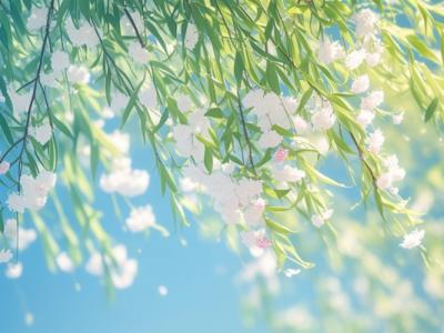 立春有什么講究