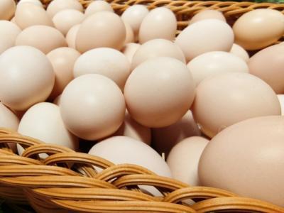 春天吃什么長個子