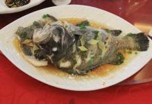 吃魚不宜過量,小心傷害眼睛