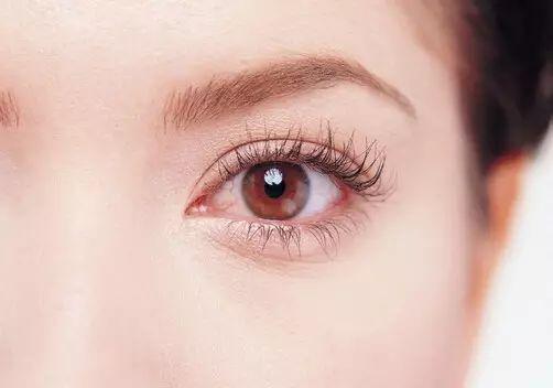 角膜塑形鏡能控制近視嗎？