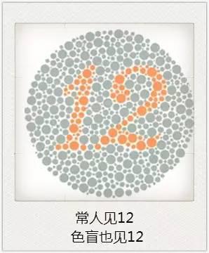 與視力相關的一些眼疾