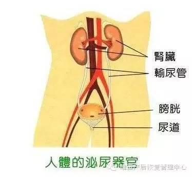 這些身體部位，不保養老的快