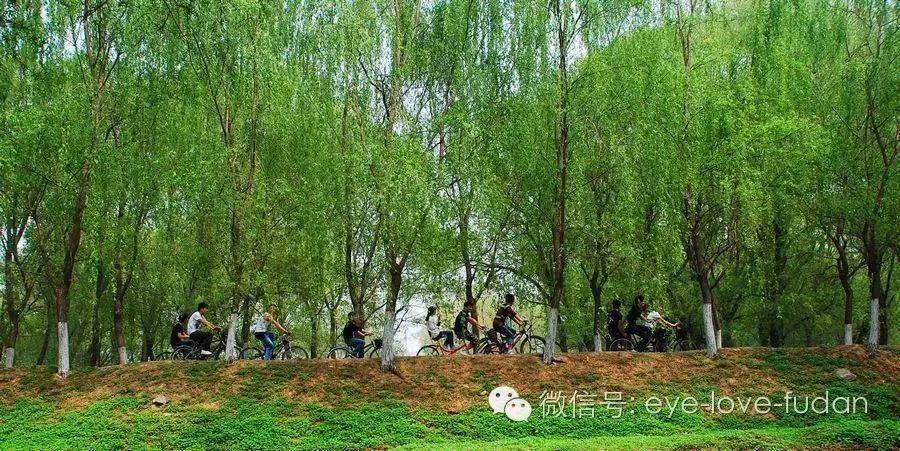 眼睛干澀、浮腫、疲勞、有血絲的護(hù)理小技巧！