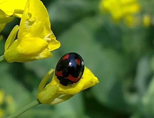 20個(gè)生活中的急救常識(shí) 